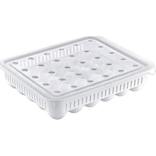 Venon Home Grand Egg Storage Container s