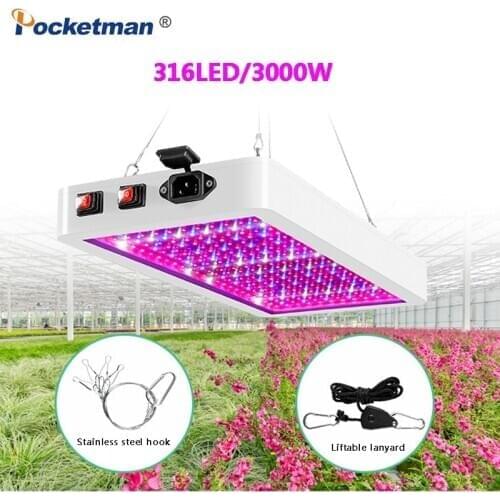 POCKETMAN Plant Lamps