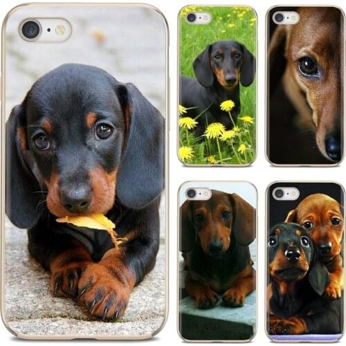 Silicone Shell Cover Dachshund Teckel Dackel Dog For Huawei Y6 Y5 2019 For Xiaomi Redmi Note 4 5 6 7 8 Pro Mi A1 A2 A3 6X 5X 7A