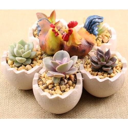 Creative Egg Eggshell Simulation Succulent Plant Potted Micro Landscape Garden Flower Desktop Potted Resin Flower Pot Decoration