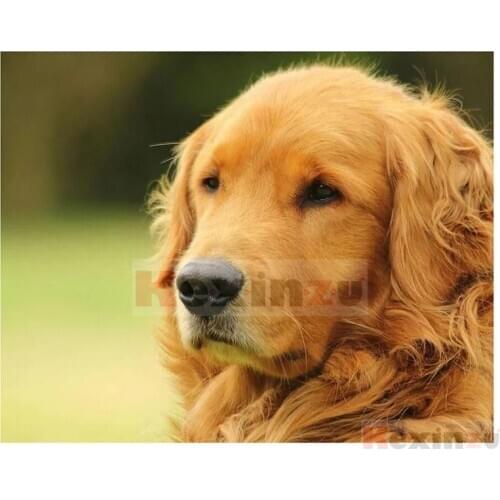 Kexinzu Full 5D DIY Square/Round Drill Diamond Painting "Animal Dog" 3d Diamond Embroidery Cross Stitch Decor Gift D11