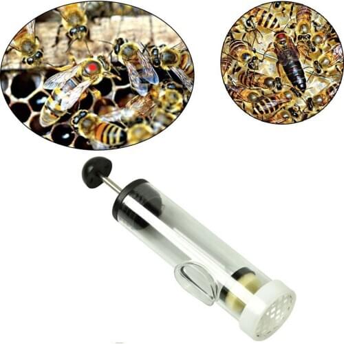 Queen Bee Marking Cage Bottle With Plunger Glass Queen Bee Marker Bottle Beekeeping Tool Durable Beekeeping Equipment