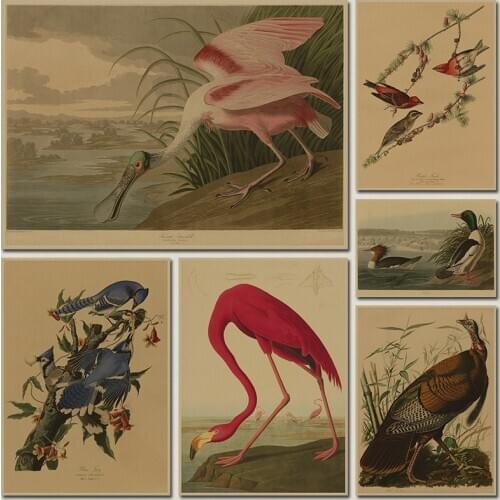 Vintage Bird Canvas Print Audubon Bird Posters Pink Flamingo Snowy Owl Blue Heron White Egret Canvas Painting Wall Art