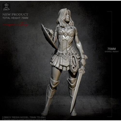 H75mm 1/24 Resin model kits DIY toy self-assembled TD-2561