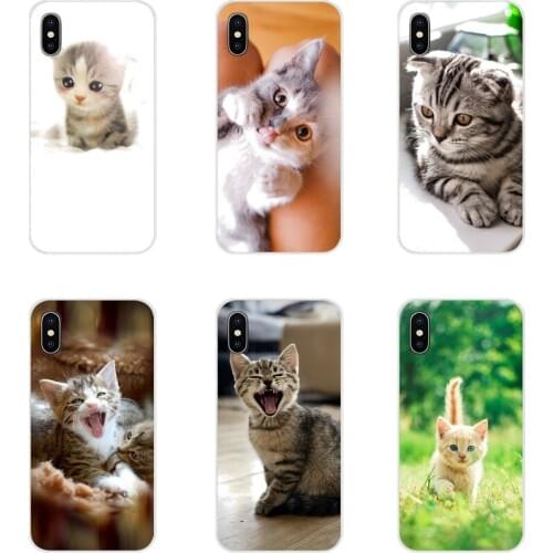 For Samsung Galaxy A3 A5 A7 A9 A8 Star A6 Plus 2018 2015 2016 2017 Funny Kitten Cat Accessories Phone Shell Covers