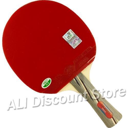 RITC 729 Friendship 2060# Pips-In Table Tennis Racket with Case for PingPong Shakehand long handle FL