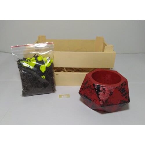 KENDİN YETİŞTİR LOCKER