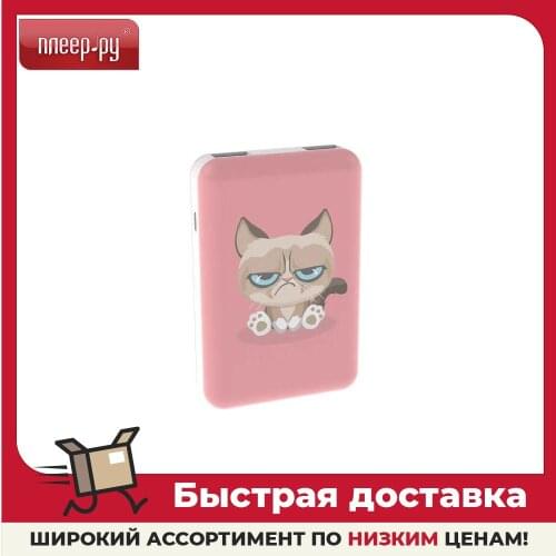 RITMIX Power Bank