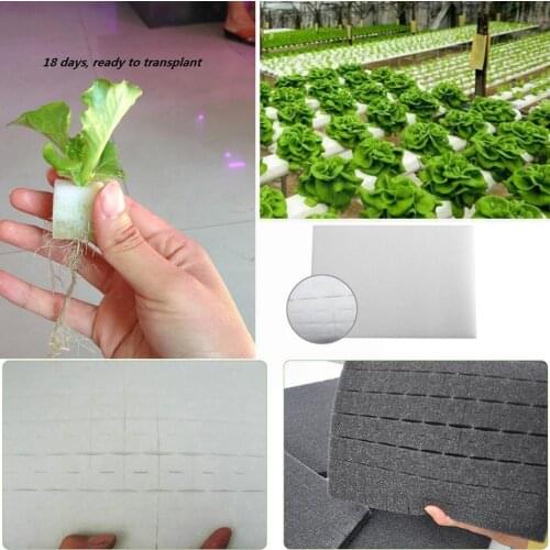 96Pcs/Set Planting Seedlings Sponges Eco-friendly Moisturized Gardening Soilless Tool Supplies Cultivation Greenhouse Veget H6I8