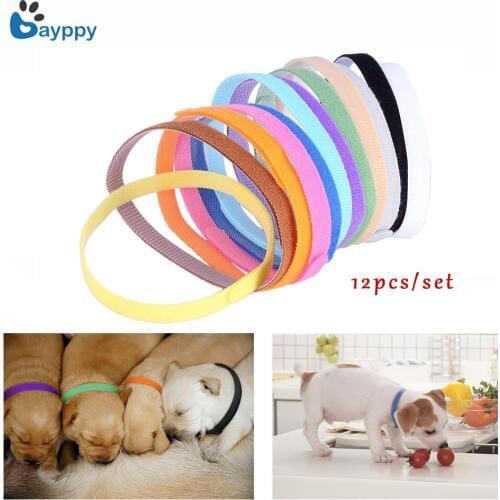 12Pcs Puppy ID Identification Collars Adjustable Nylon Small Pet Dog Collars Kitten Necklace Whelping Puppy Collars Pet Product