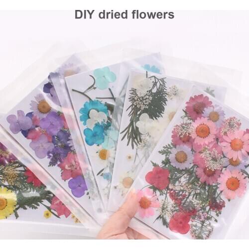 HOT Pressed Flower Mixed Organic Dried Flowers DIY Art Floral Decors Collection Gift NDS