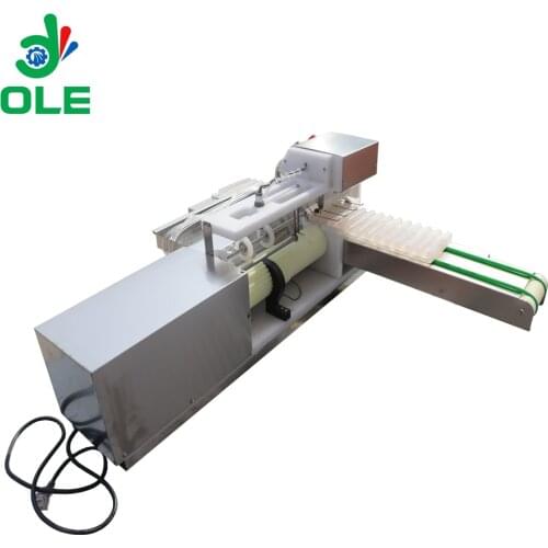 Automatic Skewer Machine Barbecue Meat Skewer Machine
