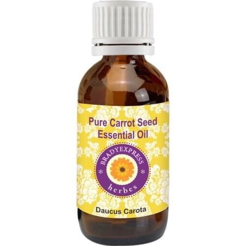 FRee Shipping Pure Carrot Seed Essential Oil (Daucus carota) 100% Natural Therapeutic Grade 5ML