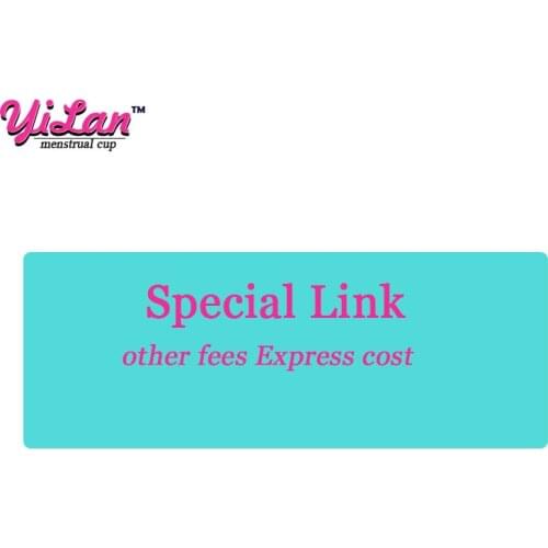 Other fees Express cost