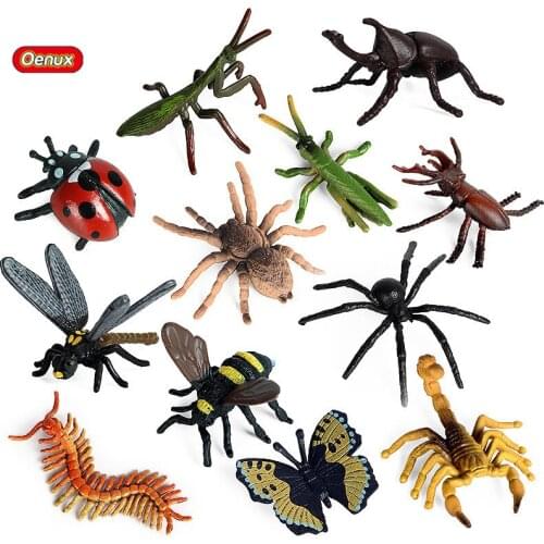 Oenux Wild Insects Model Bee Spider Butterfly Scorpion Animals Action Figures Miniature Educational Lovely Toy For Kids Gift