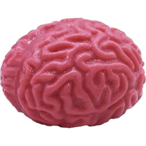 Interest Childrens Realistic Brain Trick Toy Kids Party Halloween Gift