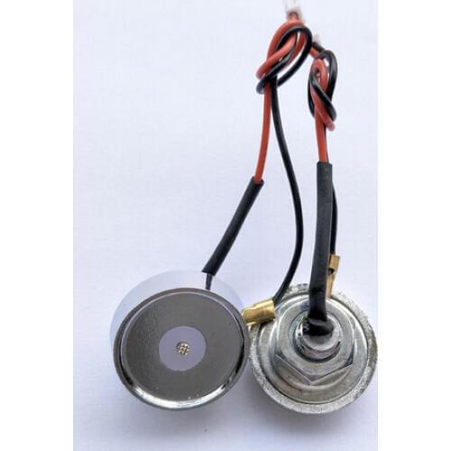 100Pcs/lot 2 lines Key Sensor TM Card magnetic iButton reader