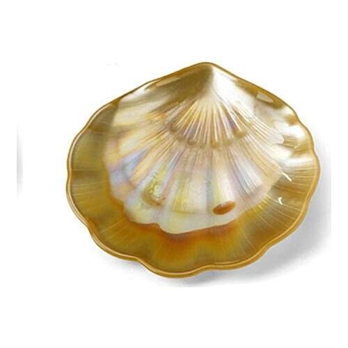 DOCOLASTRA Baptismal in crystal color espuma de sea Shell with Case Autopersonalizable