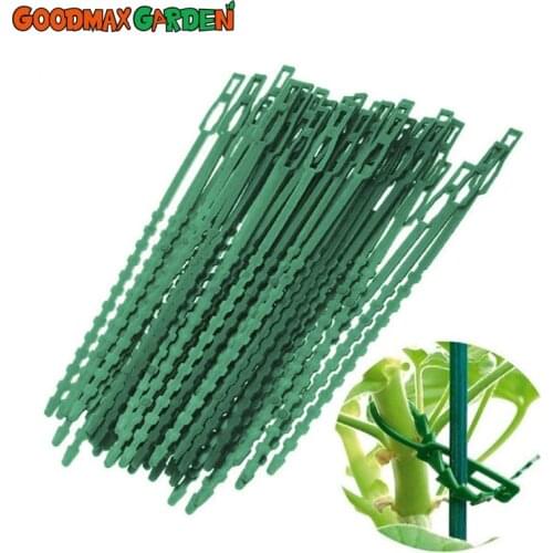 Multi-Purpose Fish-Bone Cable Tie Green Garden Tying Tie Garden Line Cable Tie Gardening Fish-Bone Cable Tie