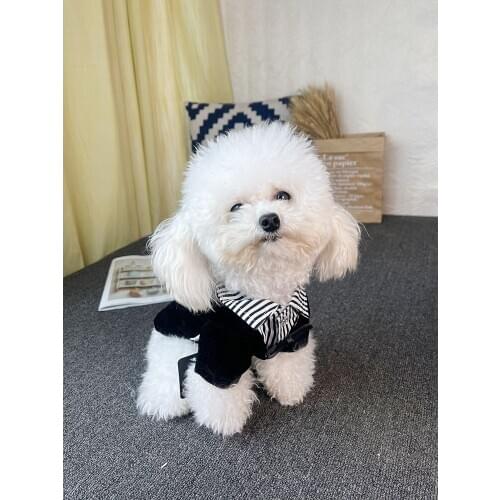 Pet clothes dog dress suit cat suit wedding dress Teddy Bichon Schnauzer dog clothes