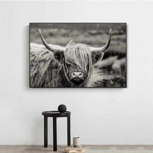Scottish Highland Catt Cow Yak Animal Poster Wall Art Canvas Paintings Prints Pictures on Canvas for Living Room Home Decorative