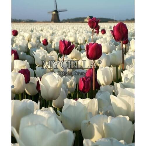 Flowers 5D DIY Diamond Painting Tulips Diamond Embroidery Mosaic Cross Stitch Home Decor Arts landscape Wall Stickers