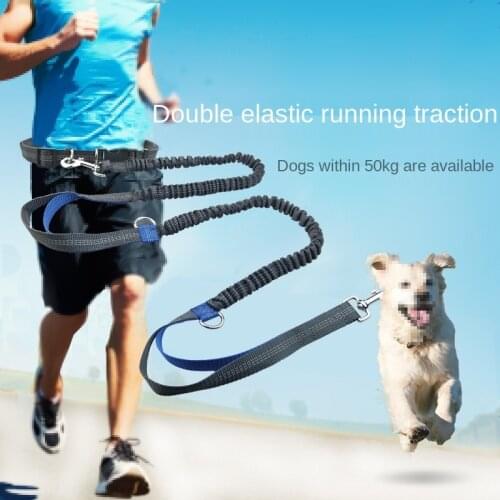 2021 New Reflective Leash Traction Rope Pet Dog Running Belt Elastic Hands Freely Jogging Pull Dog Leash Metal D-ring Leashes