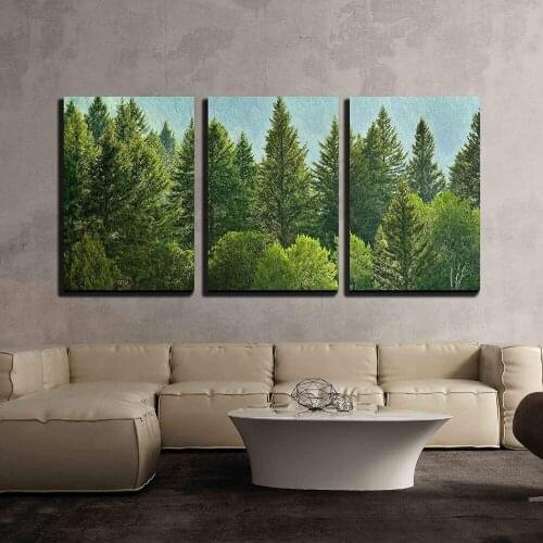 3 Piece Canvas Wall Art - Forrest of Green Pine Trees on Mountainside with Rain Print On Canvas Drop shipping