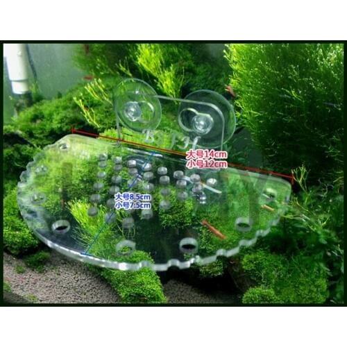 HONGYI 1piece S L size fish tank acrylic aquatic landscaping platform aquatic planting platform aerial platform with suction cup