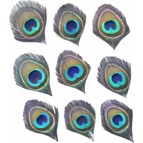 10Pcs Natural Rare Peacock Feathers Eye Feathers Crafts Decorations for Clothes Crafts Pheasant Feather Decor Accessories Plume