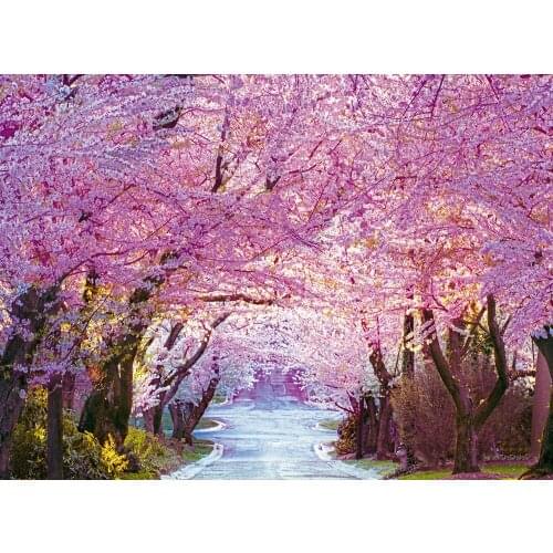 JMINE Div 5D Cherry Flower Tree Road Full Diamond Painting cross stitch kits art High Quality landscape 3D paint by diamonds