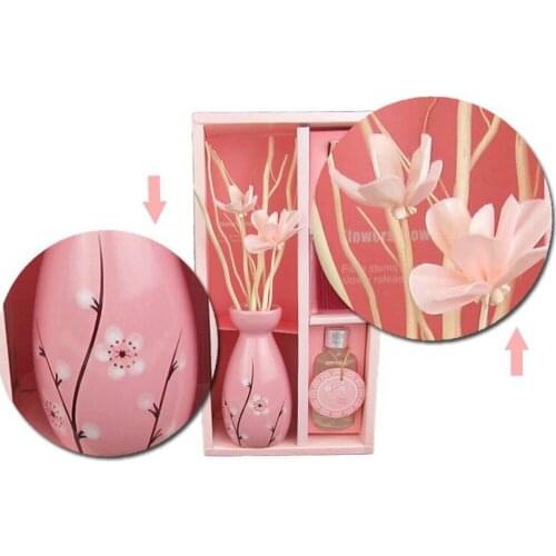 Aromatherapy Kit Dried Flower Rattan Sticks No Fire Cane Aroma Indoor Fragrance Reed Diffuser Incense Tools+50ml Essential Oil