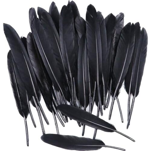 Wholesale 250pcs Natural Goose Feather for Craft Black Swan Feathers Wedding Costume Cloth Decoration Plume Craft Accessories