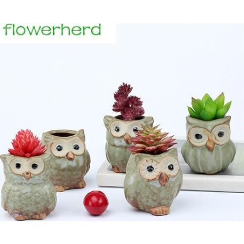 1Pcs Creative Ceramic Owl Shape Flower Pots for Fleshy Succulent Plant Animal Style Planter Home Garden Office Decoration