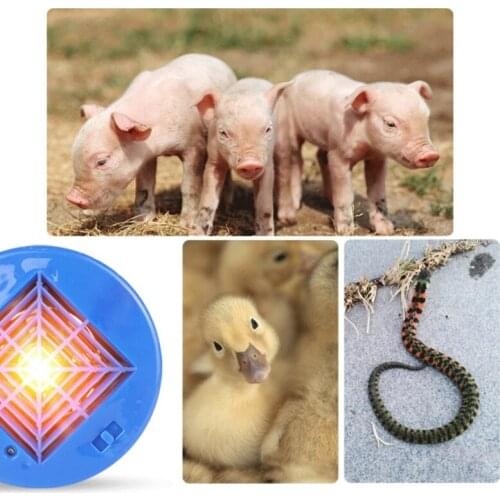 Livestock Pet Heat Lamp Poultry Heat Bulb Chicken Brooder Heater Piglets Pet Keep Warming Light Heat-Resistant Chicken