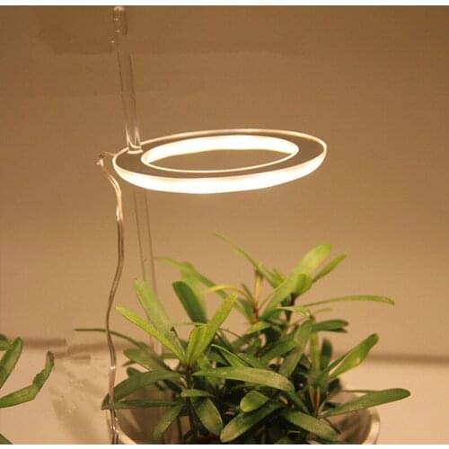 TAROOHOME Professional Lighting