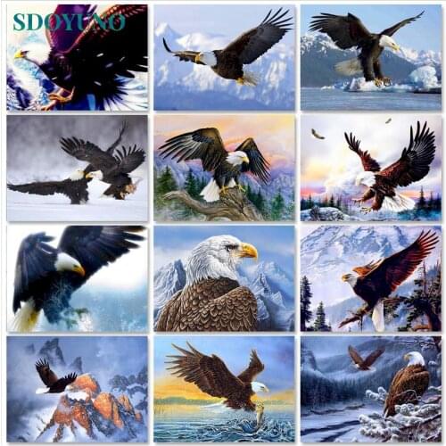 SDOYUNO 40x50cm Paint By Numbers Animals Oil Painting By Numbers On Canvas Eagle Frameless DIY Home Decor Living Room Art