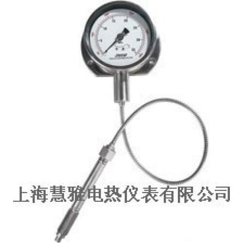 Flexible tube variable output pressure gauge PT124Y-615