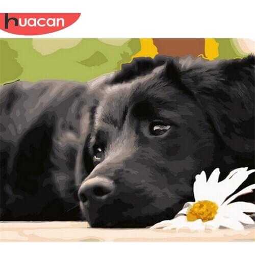 HUACAN DIY Pictures By Number Kits Home Decor Painting Coloring By Numbers Dog Animal Drawing On Canvas HandPainted Art Gift