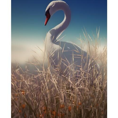 LIPHISFUN Needlework Diamond Painting 5d Embroidery Square/round Drill Full Home Decor Cross Stitch DIY Animal Swan