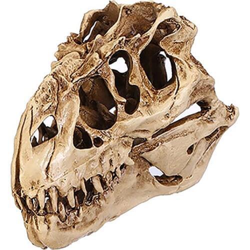 1pc Resin Crafts Dinosaur Tooth Skull Fossil Model Collectibles Teaching Skeleton Model Halloween Decor Drop Shipping