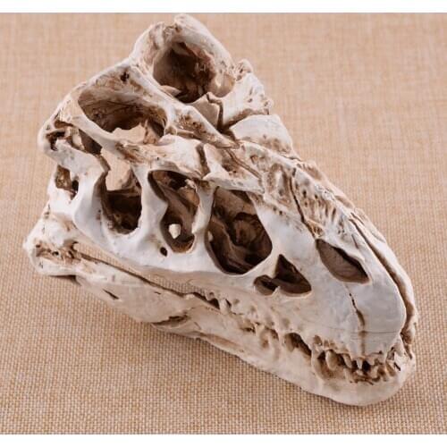 Tyrannosaurus T-Rex Dinosaur Skeleton Resin Fossil Skull Model Collectibles Model Craft Display Animal Research Decor
