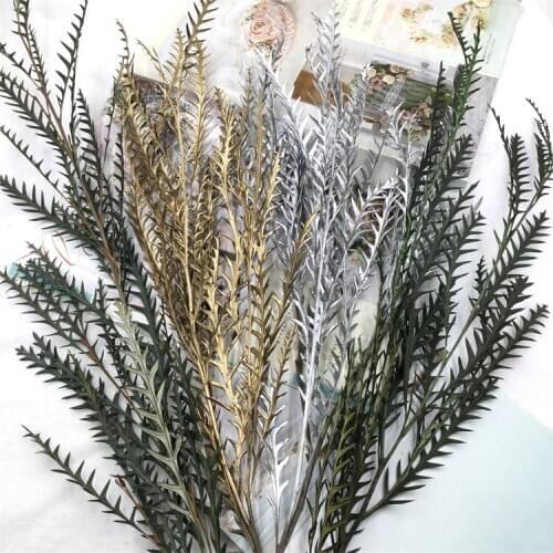 Eternal Flower DIY Material Emperor Leaf Serrated Leaf Valentines Day Glass Cover Flower Box Material Fresh Rose with Leaves