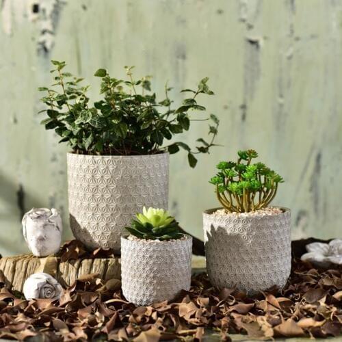 Flowerpot mold anaglyph snow 3D geometric texture of concrete cement green plant polycaria plant silicone mold