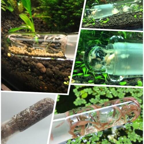 Transparent Aquarium Worm Aquatic Cleaner Crystal Clear Glass Planarian Flatworm Trapping Pen Fish Tank Pest Catch Trap Tool