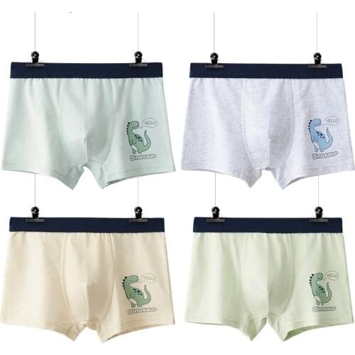 Qsaae Underwear For Boys