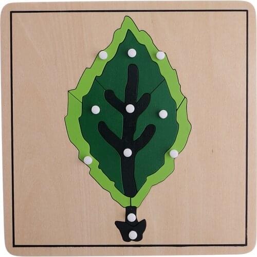 Wooden 8 Animal Plant Shape Puzzles Preshool Kids Early Educational Toy