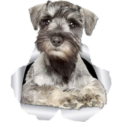 Dawasaru 3D Curious Schnauzer Dog Sticker Car Sticker Decal for Car Wall Toilet Kids Room Luggage Skateboard Laptop,15cm