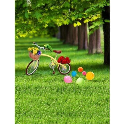 Colorwonder Children's Bicycles