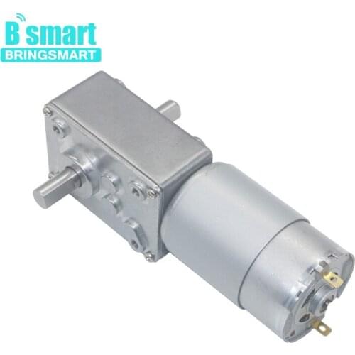 Bringsmart Double Shaft Large Torque Motor Reducer A58SW-555S Self Locking Reduction Gearbox 6- 24v Small Worm Gear Motor 12v